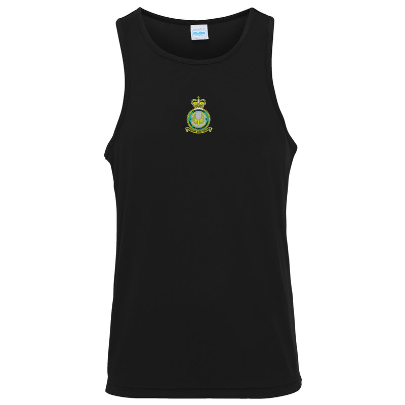 No 2 Squadron RAF Vest
