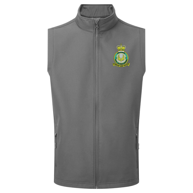 No 2 Squadron RAF Gilet