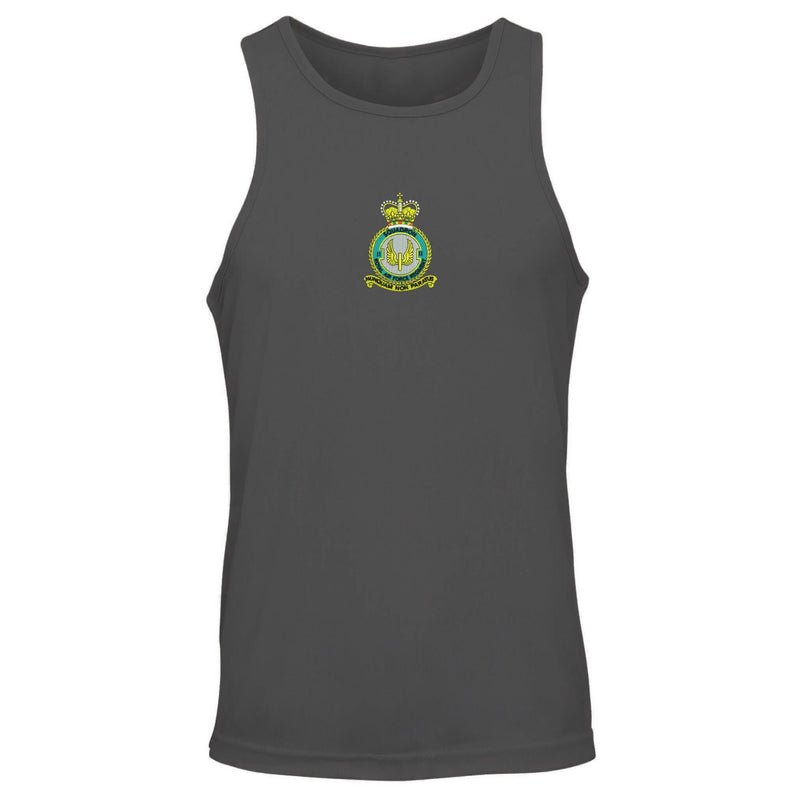 No 2 Squadron RAF Vest