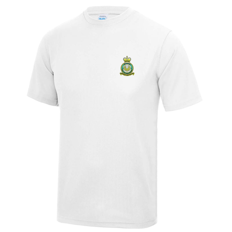 No 2 Squadron RAF Polyester T-Shirt