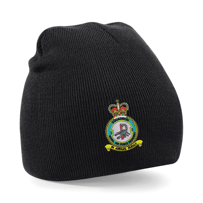 No 3 Squadron RAF Regiment Beanie Hat