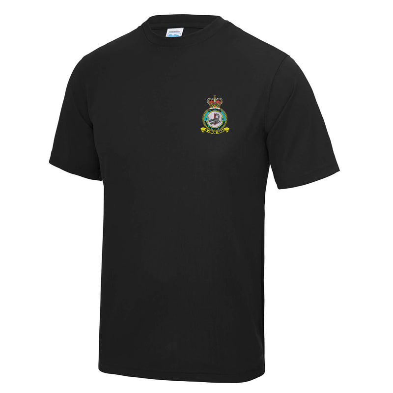 No 3 Squadron RAF Regiment Polyester T-Shirt
