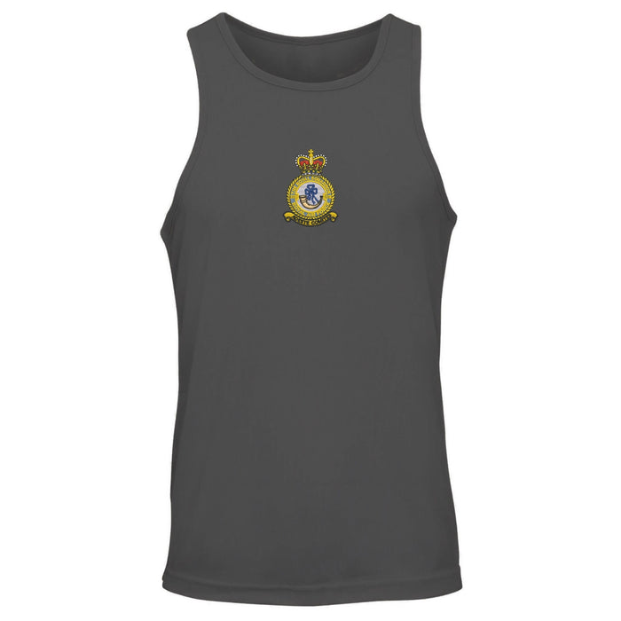 No. 32 Squadron RAF Vest
