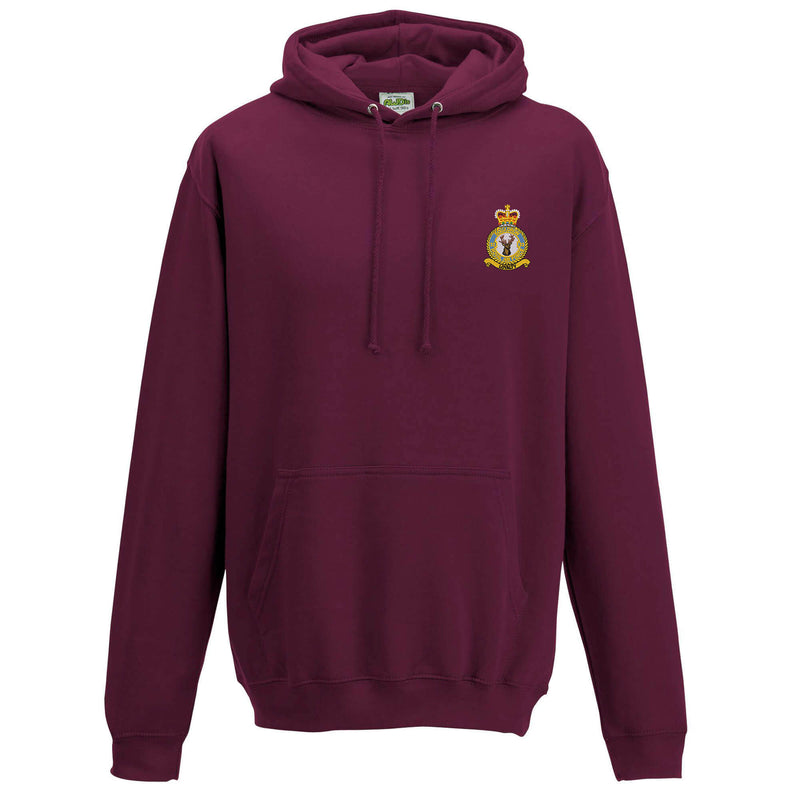 No. 33 Squadron RAF Hoodie