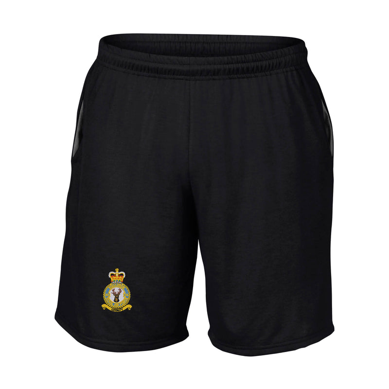 No. 33 Squadron RAF Performance Shorts