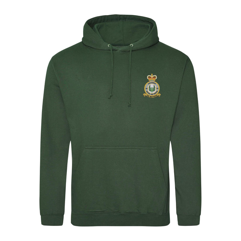 No 39 Squadron RAF Hoodie