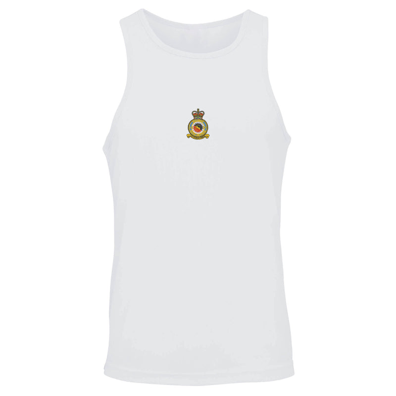 No 4 Squadron RAF Vest