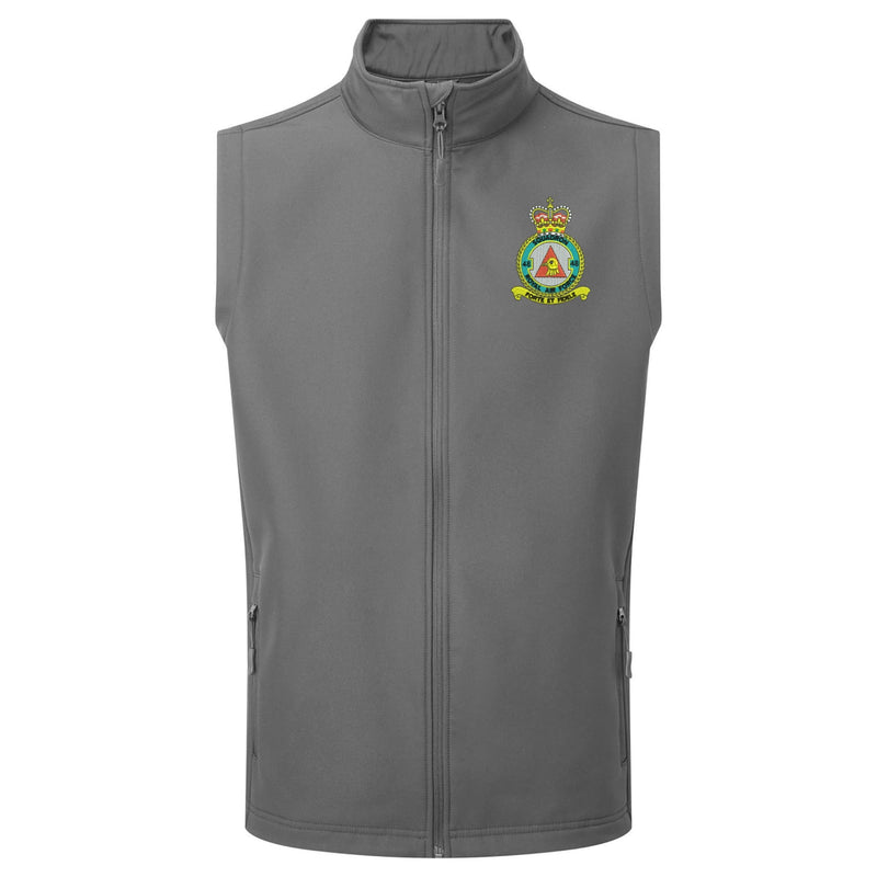 No 48 Squadron RAF Gilet