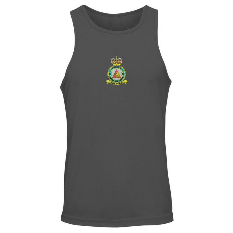 No 48 Squadron RAF Vest