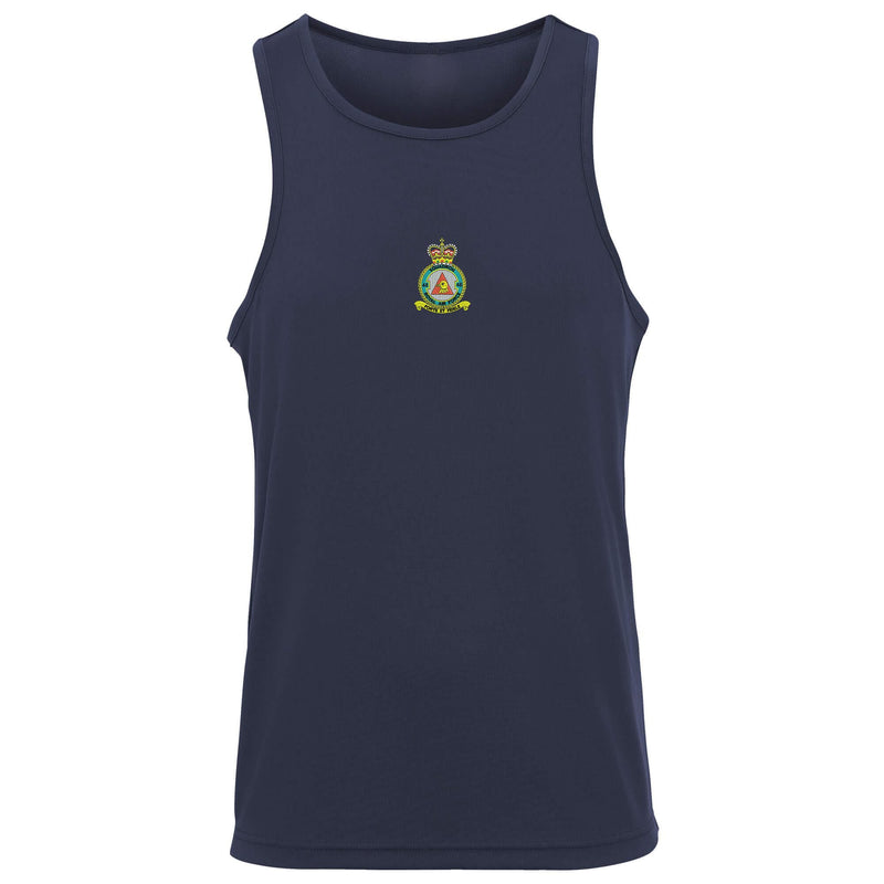 No 48 Squadron RAF Vest