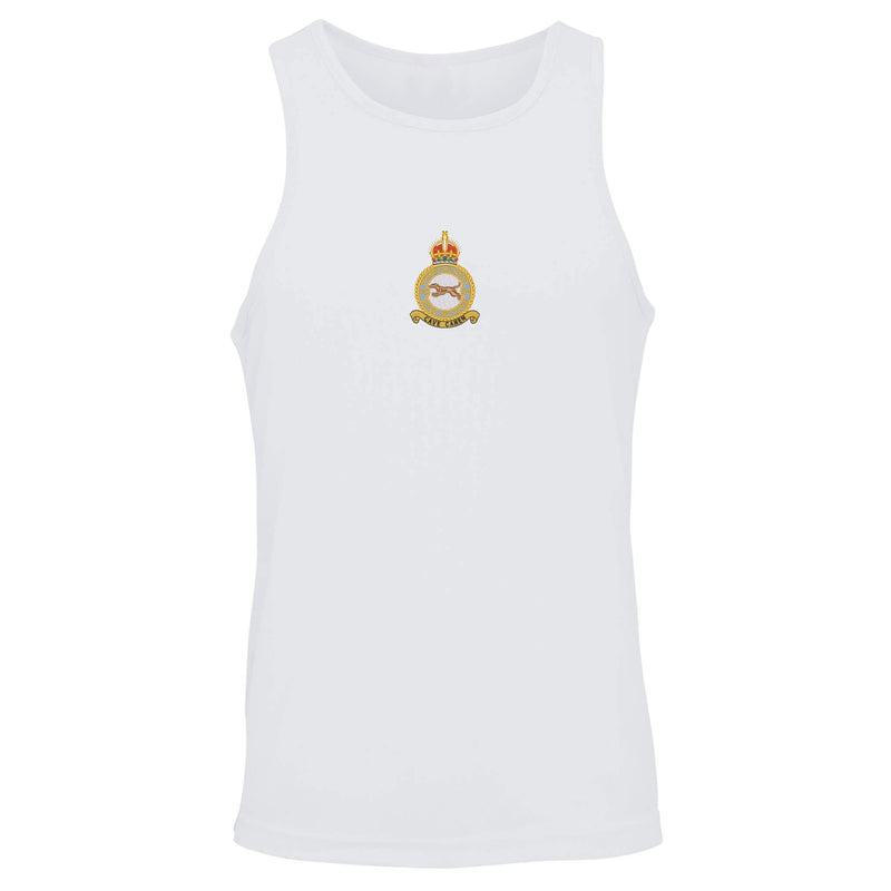 No 49 Squadron RAF Vest