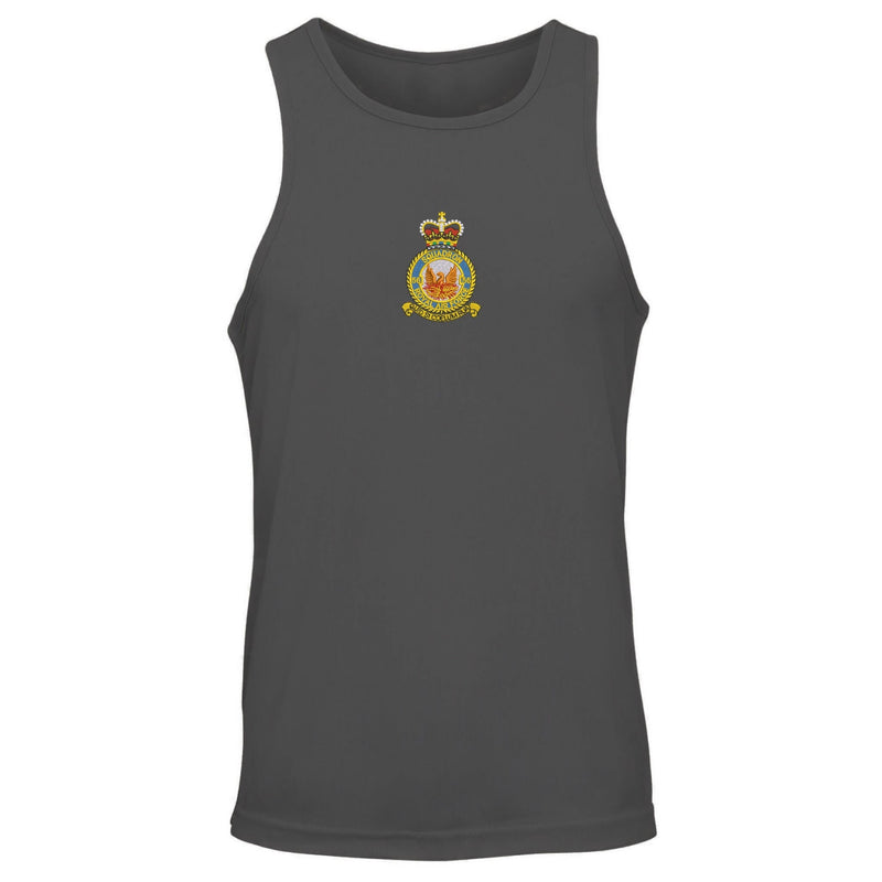 No 56 Squadron RAF Vest