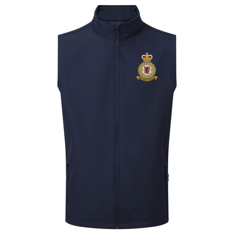 No. 602 (City of Glasgow) Squadron RAF Gilet