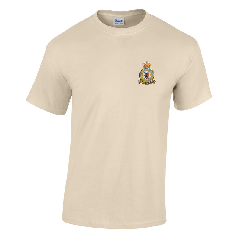 No 602 (City of Glasgow) Squadron RAF Cotton T-Shirt
