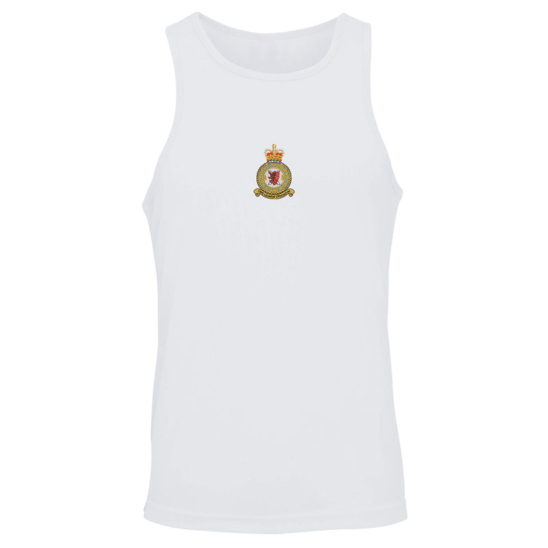 No 602 (City of Glasgow) Squadron RAF Vest
