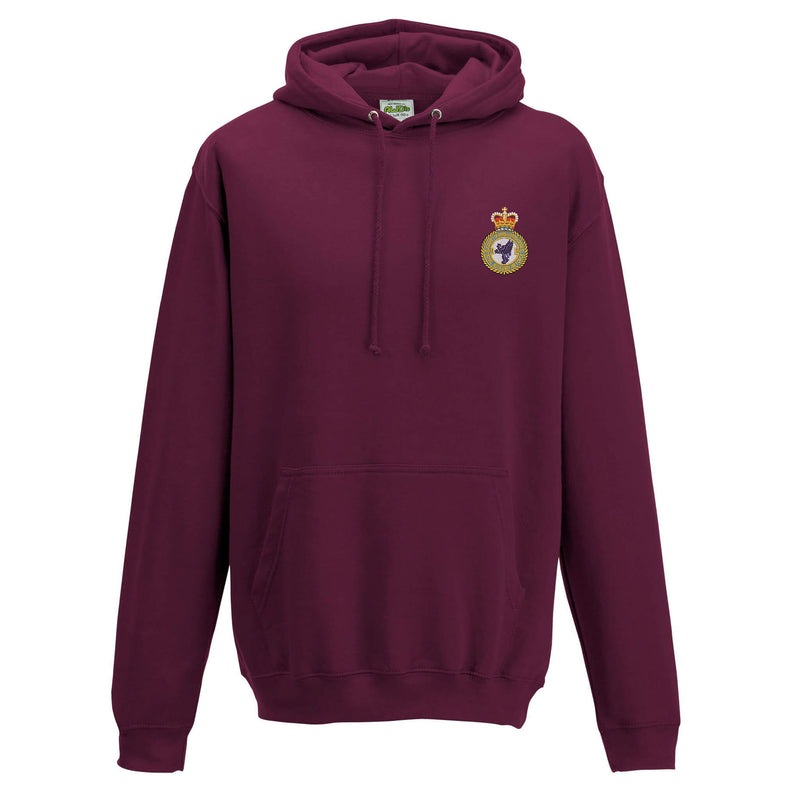 No 607 (County of Durham) Squadron Hoodie