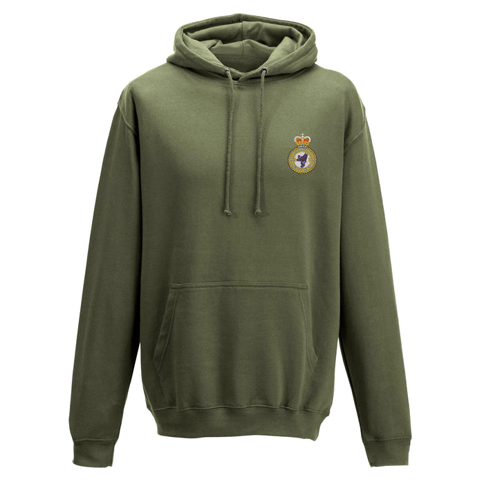 No 607 (County of Durham) Squadron Hoodie