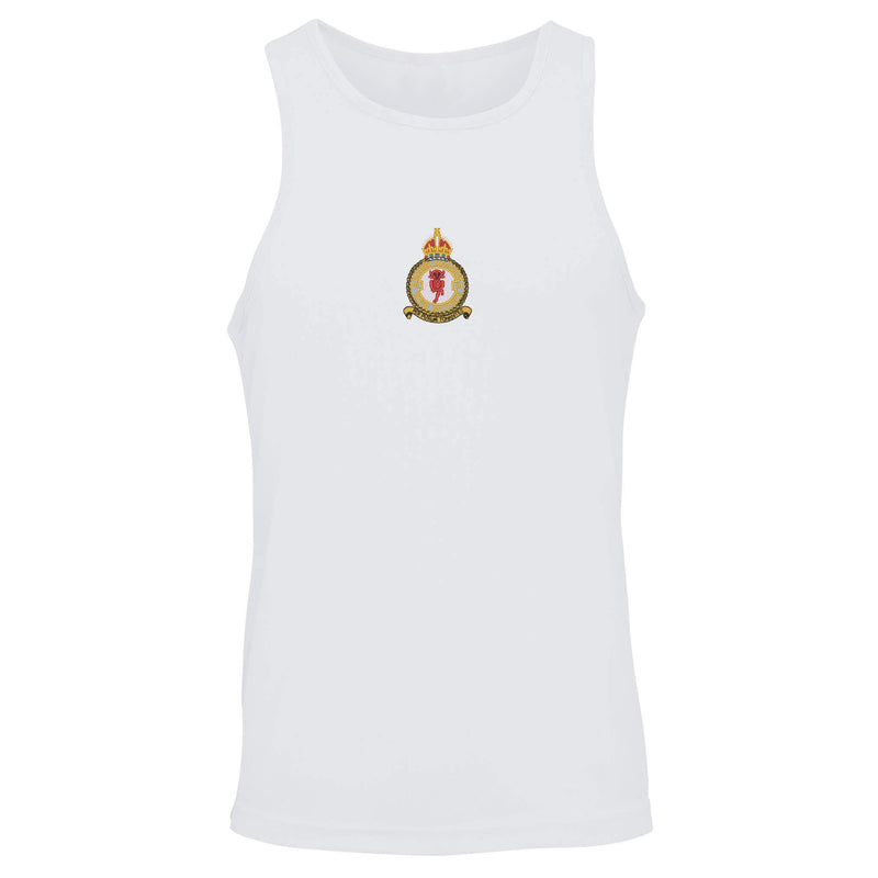 No 61 Squadron RAF Vest