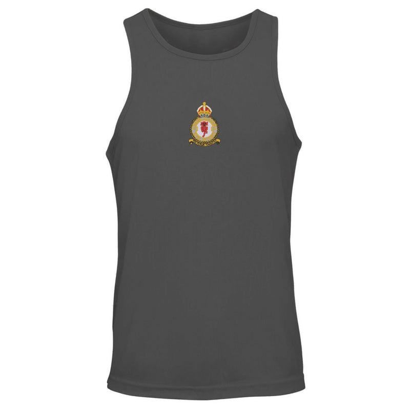No 61 Squadron RAF Vest