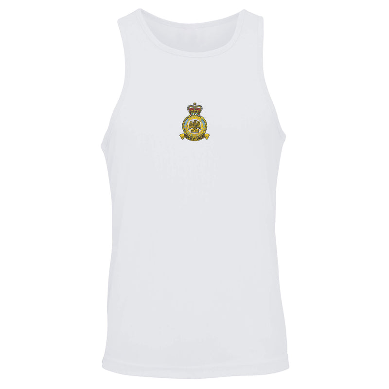 No 63 Squadron RAF Vest