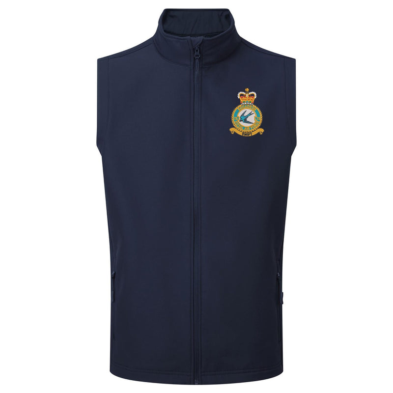 No 72 Squadron RAF Gilet