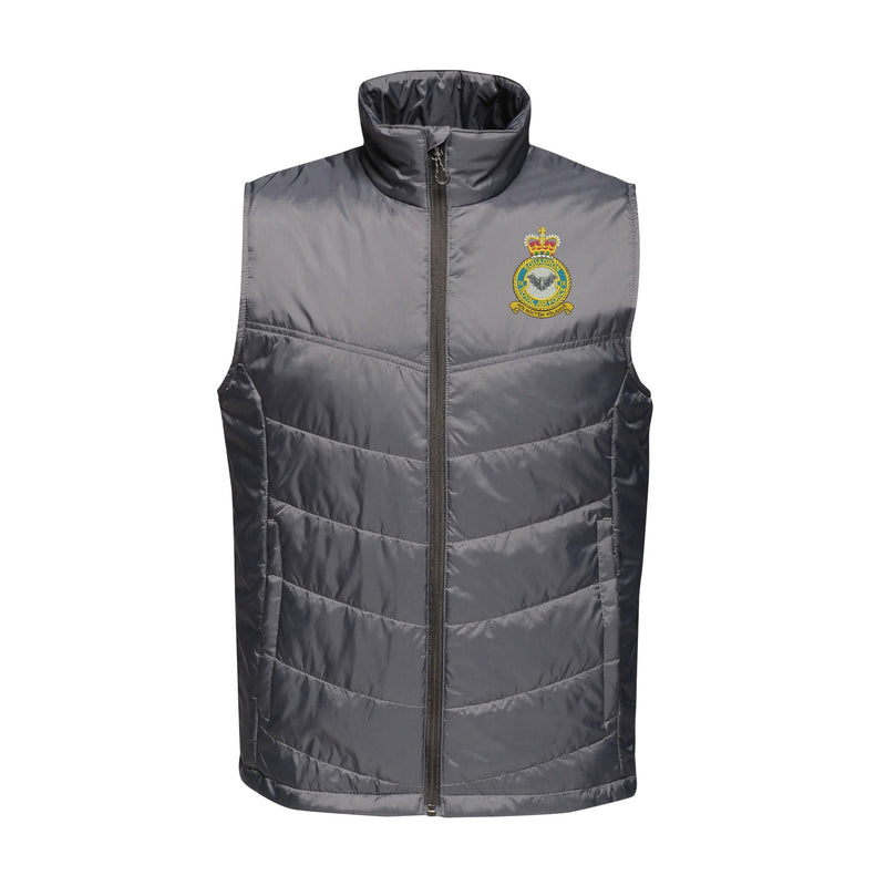 No 9 Squadron RAF Insulated Bodywarmer