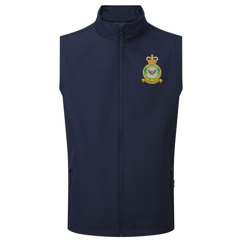 No 9 Squadron RAF Gilet