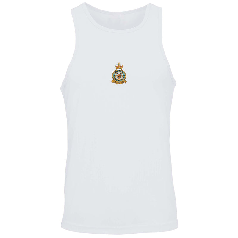 No. 12 Squadron RAF Vest