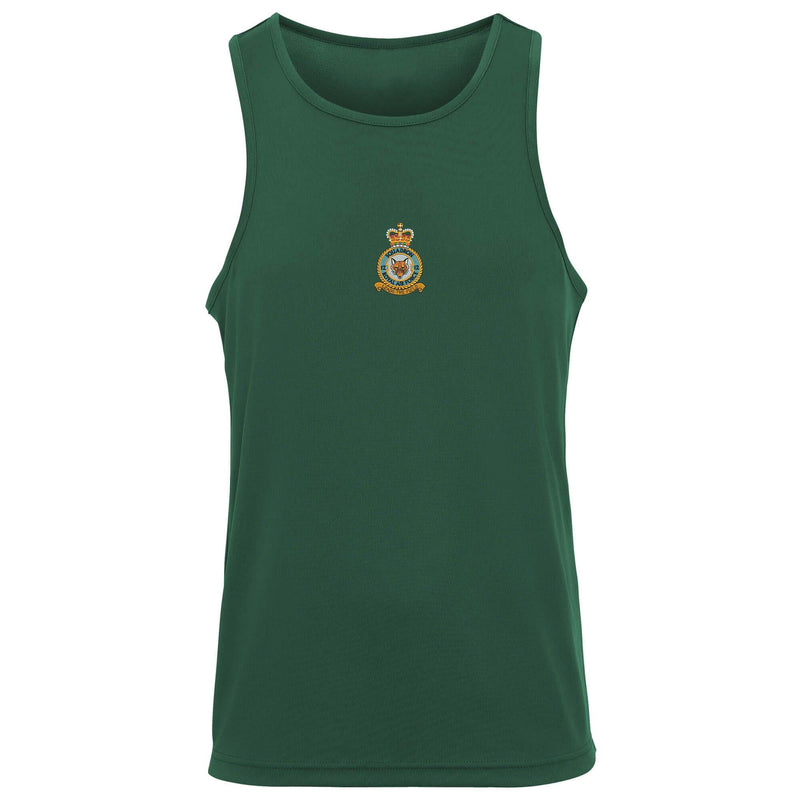 No. 12 Squadron RAF Vest