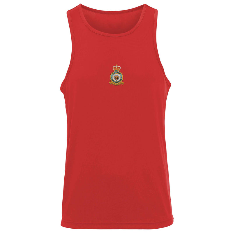 No. 12 Squadron RAF Vest
