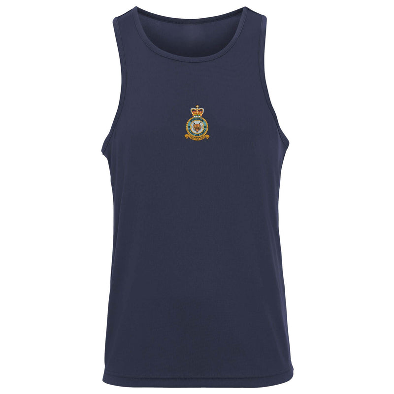 No. 12 Squadron RAF Vest