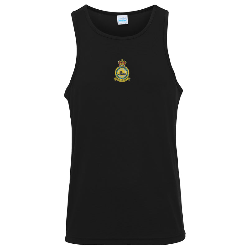RAF Air Intelligence Wing Vest
