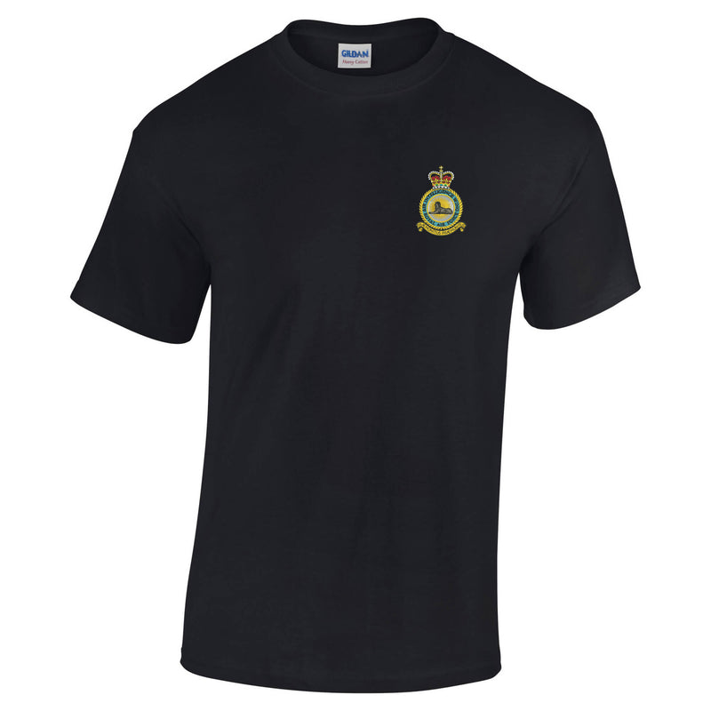 RAF Air Intelligence Wing Cotton T-Shirt