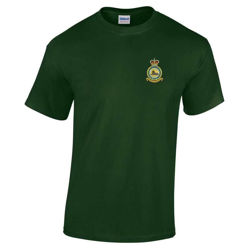 RAF Air Intelligence Wing Cotton T-Shirt