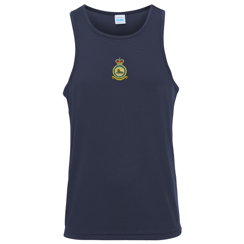 RAF Air Intelligence Wing Vest