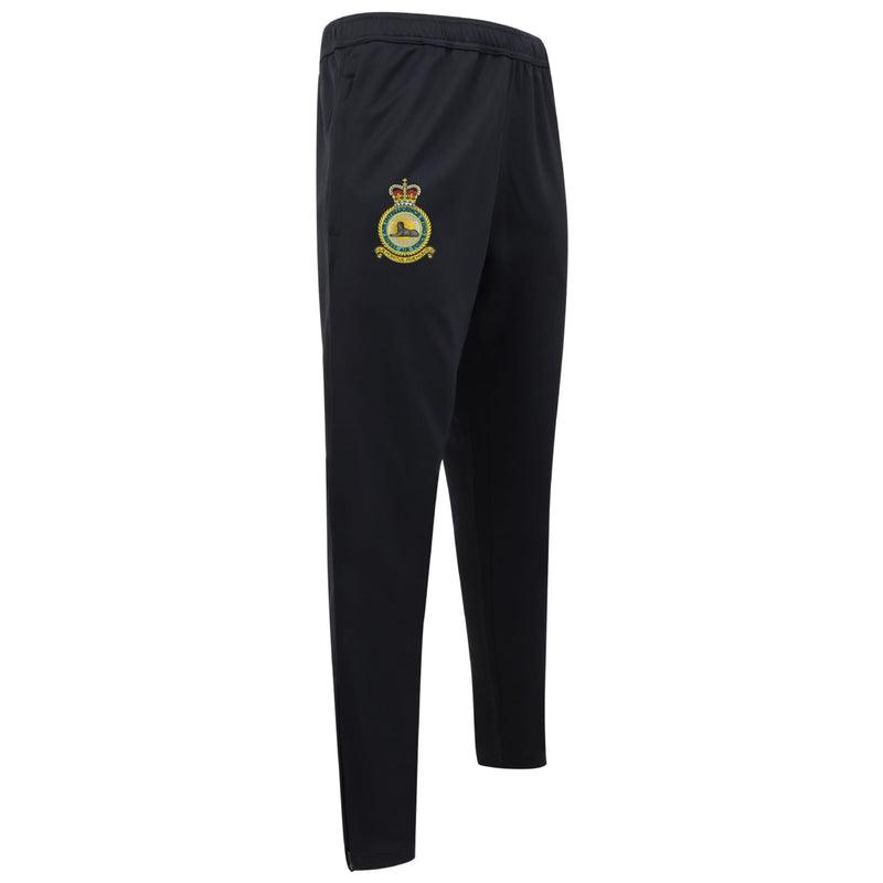 RAF Air Intelligence Wing Knitted Tracksuit Pants