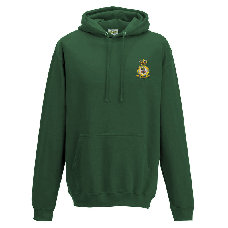 RAF Airborne Delivery Wing Hoodie