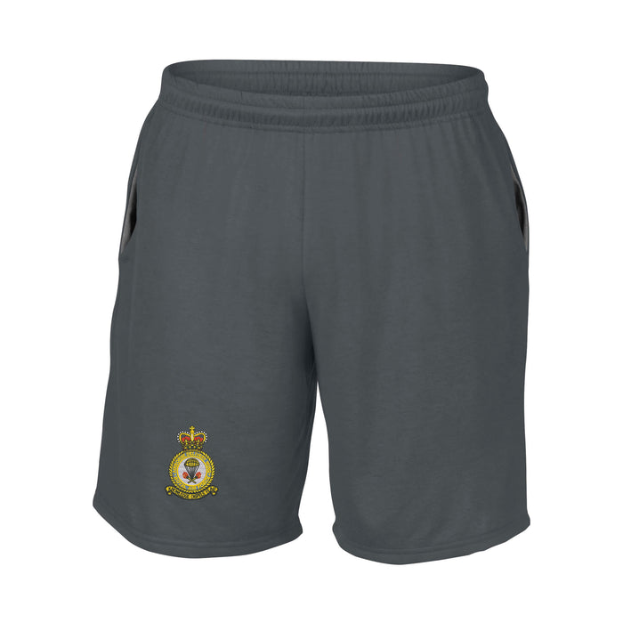 RAF Airborne Delivery Wing Performance Shorts