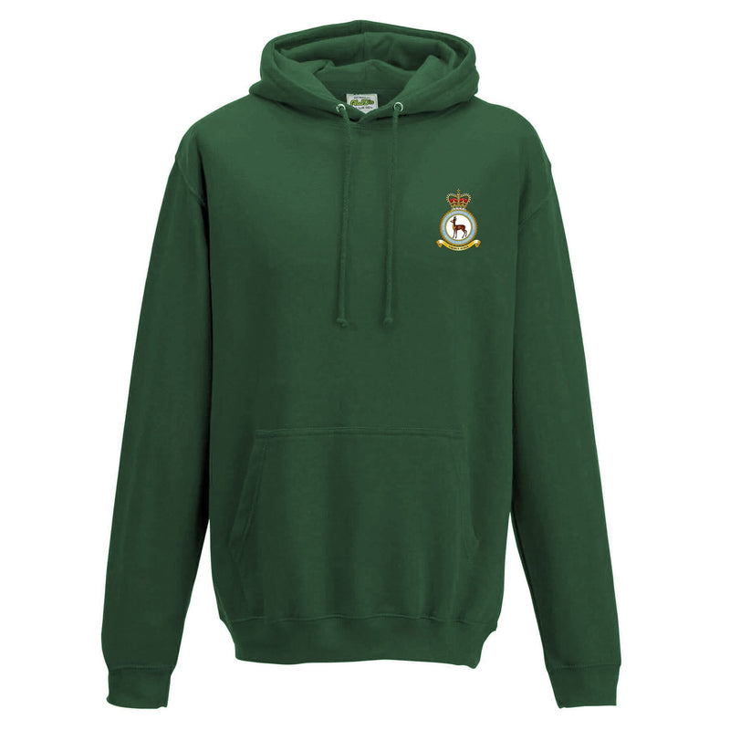 RAF School of Physical Training Hoodie