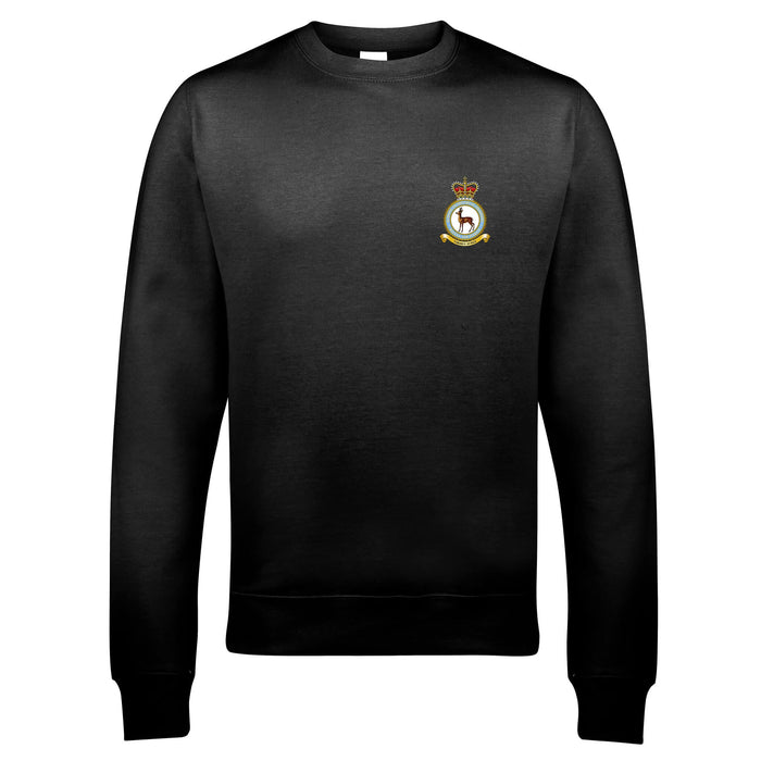 RAF School of Physical Training Sweatshirt