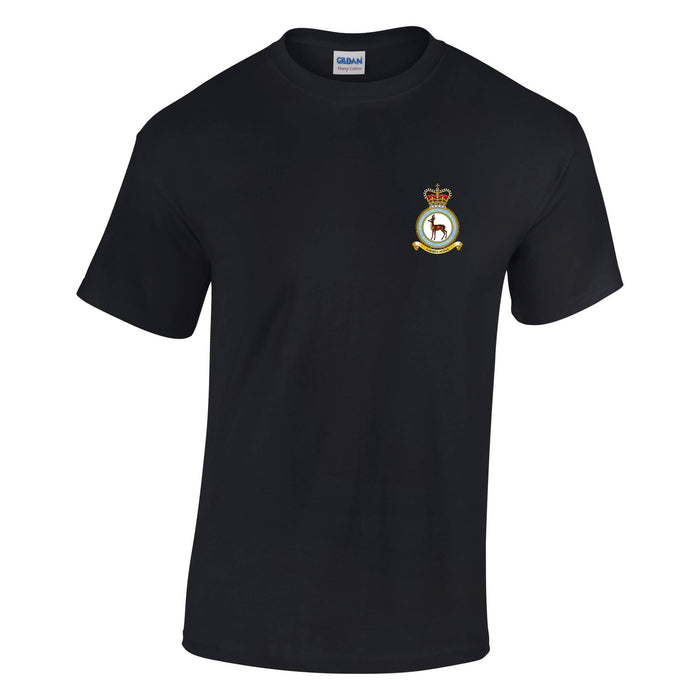 RAF School of Physical Training Cotton T-Shirt