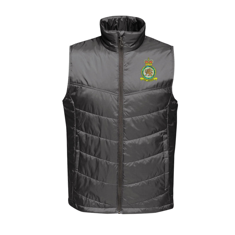RAF Police Insulated Bodywarmer