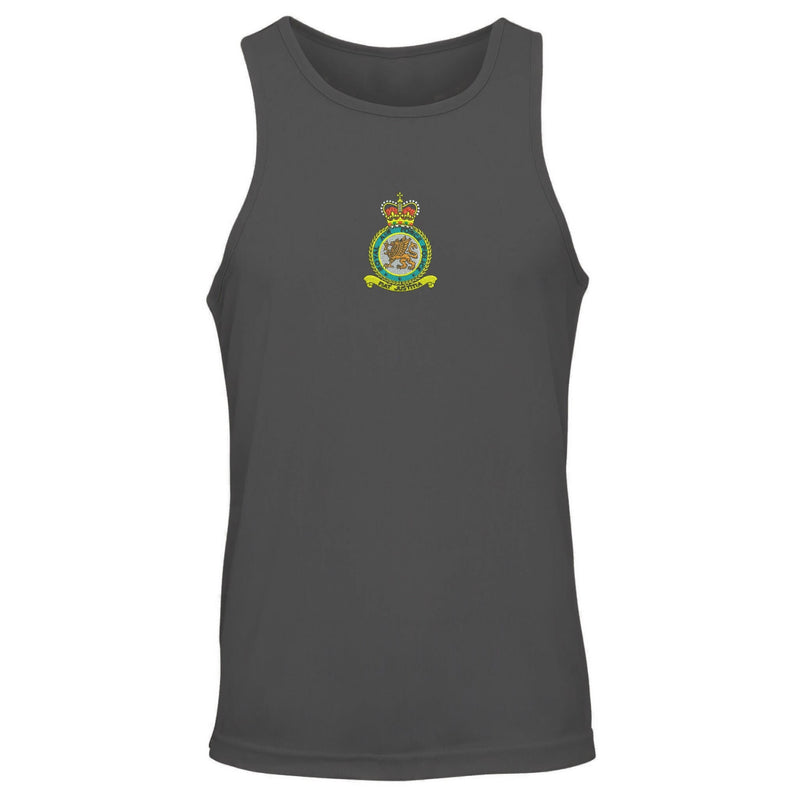 RAF Police Vest