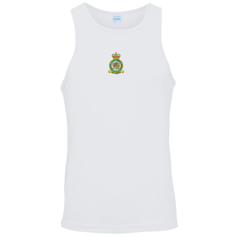 RAF Police Vest