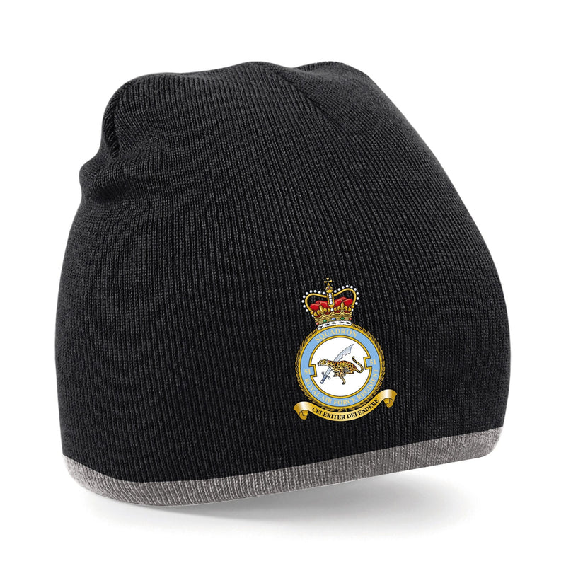 No. 51 Squadron RAF Regiment (Big Cat) Beanie Hat