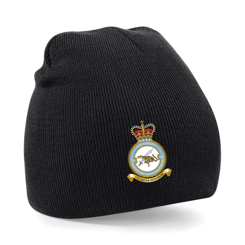 No. 51 Squadron RAF Regiment (Big Cat) Beanie Hat