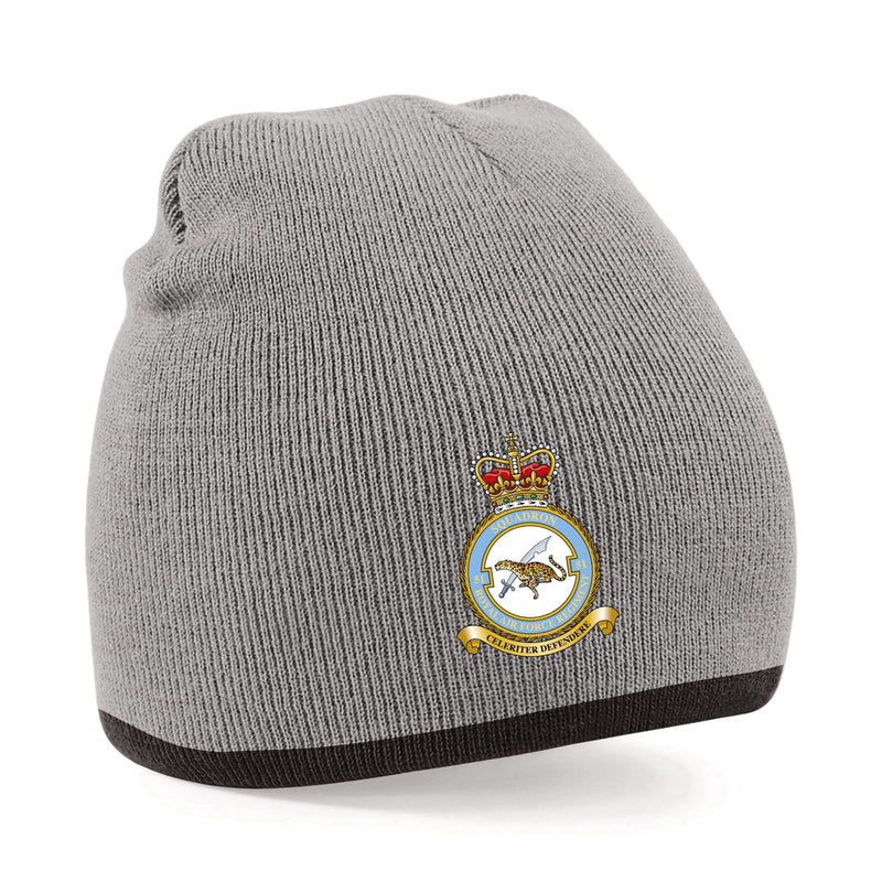 No. 51 Squadron RAF Regiment (Big Cat) Beanie Hat