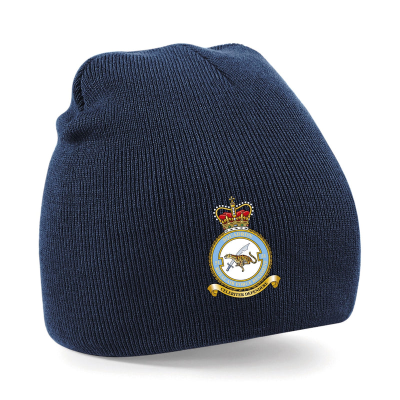 No. 51 Squadron RAF Regiment (Big Cat) Beanie Hat