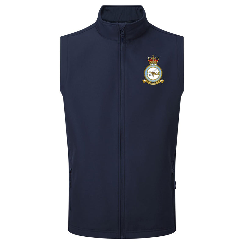 No. 51 Squadron RAF Regiment (Big Cat) Gilet