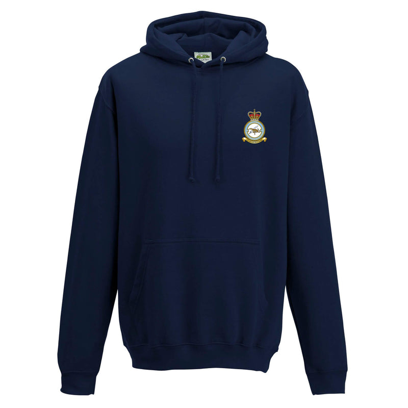 No. 51 Squadron RAF Regiment (Big Cat) Hoodie